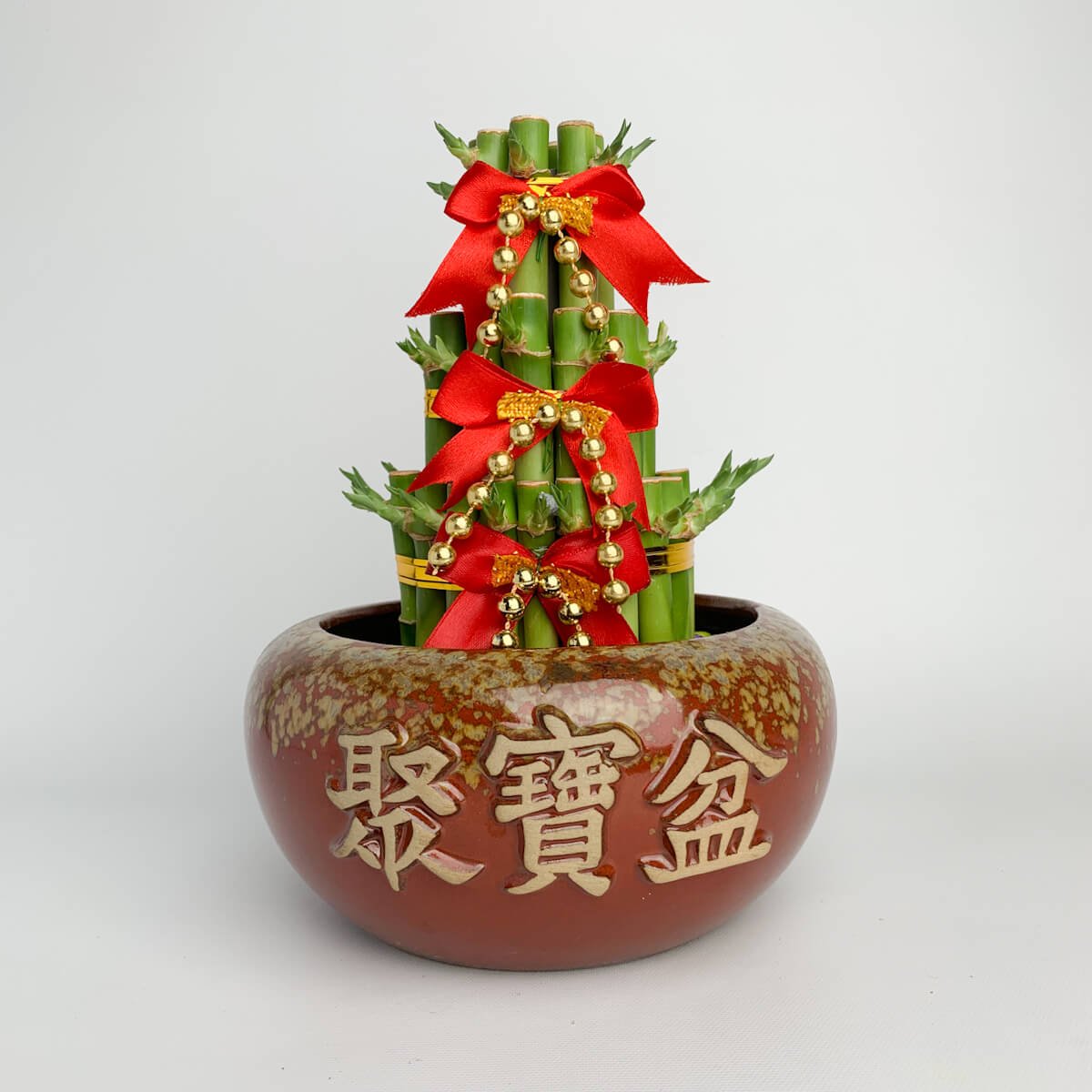 聚寶盆開運竹| Alice Flower Shop 愛麗絲花坊｜台中鮮花永生乾燥花店